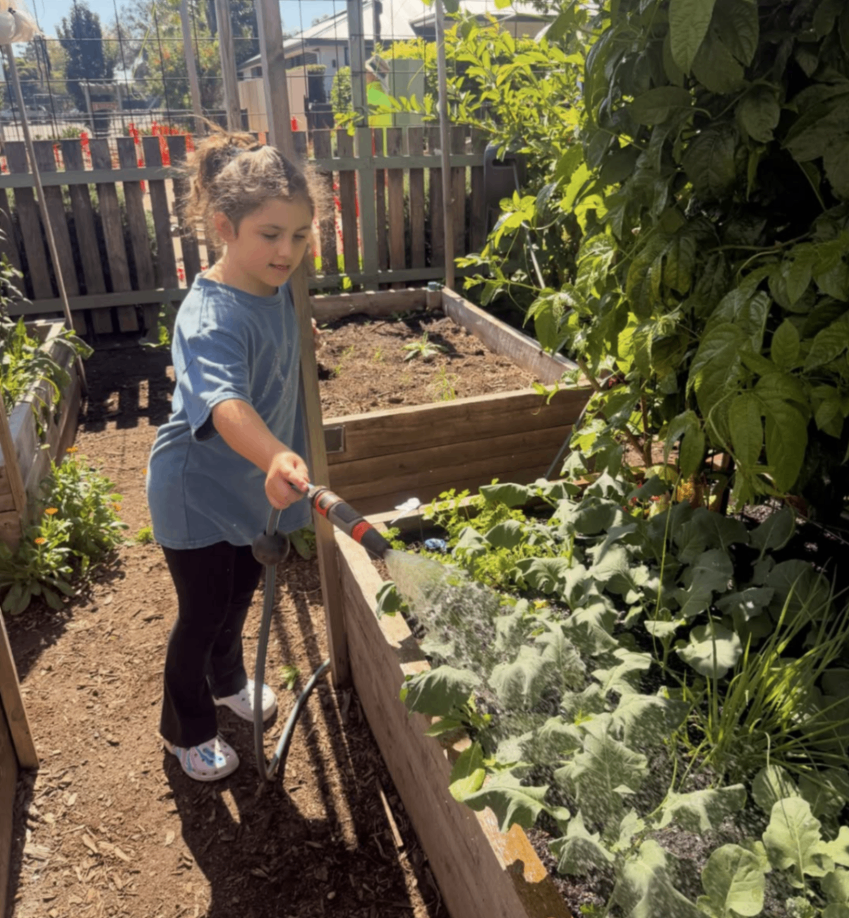 Child watering a raised garden bed during an outdoor Adelaide adventure with care and supervision